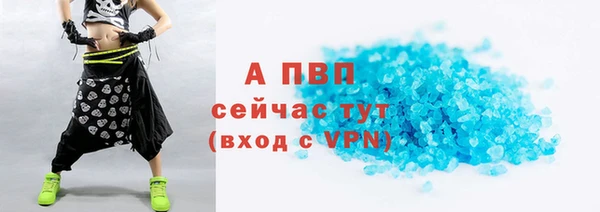 ешки Корсаков
