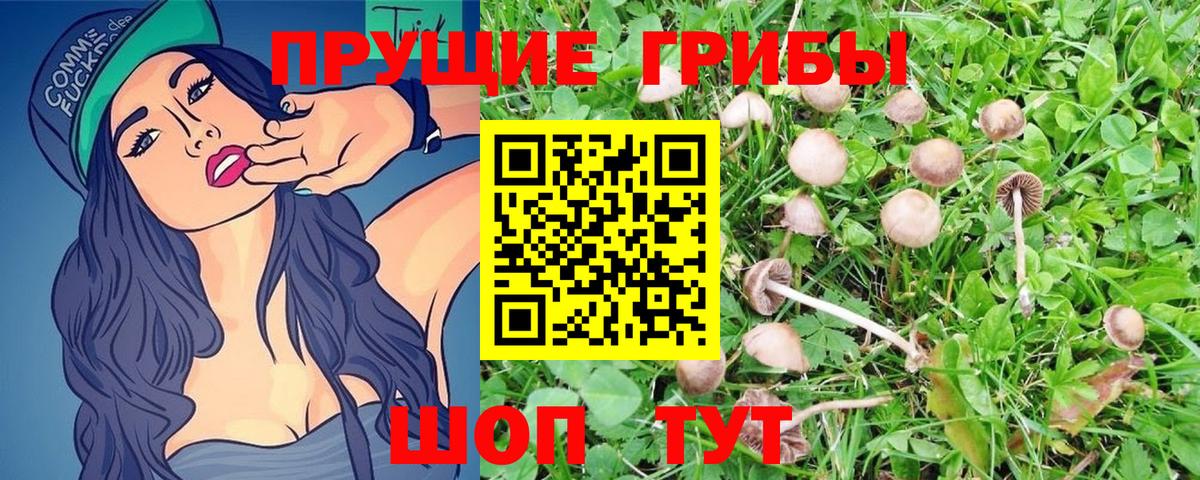 Мелеуз  где купить наркотик  Галлюциногенные грибы Psilocybe  Вход с VPN  Галлюциногенные грибы ЛСД 